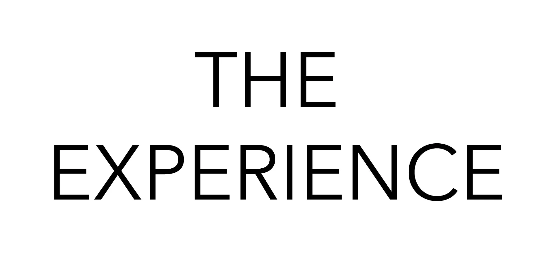 MEL DUBE EXPERIENCE.jpg