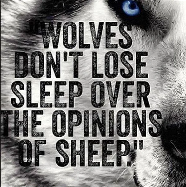 Get Your Mind(set) Right (aka Are You a Wolf or a Sheep?)