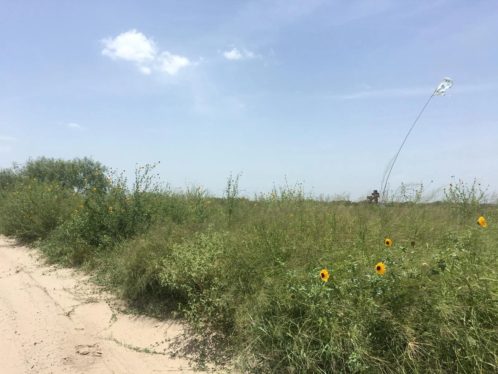 Loamy terrain and extreme temperatures can be exhausting or deadly for migrants entering the United States interior on foot (supplied: Stephanie Leutert).
