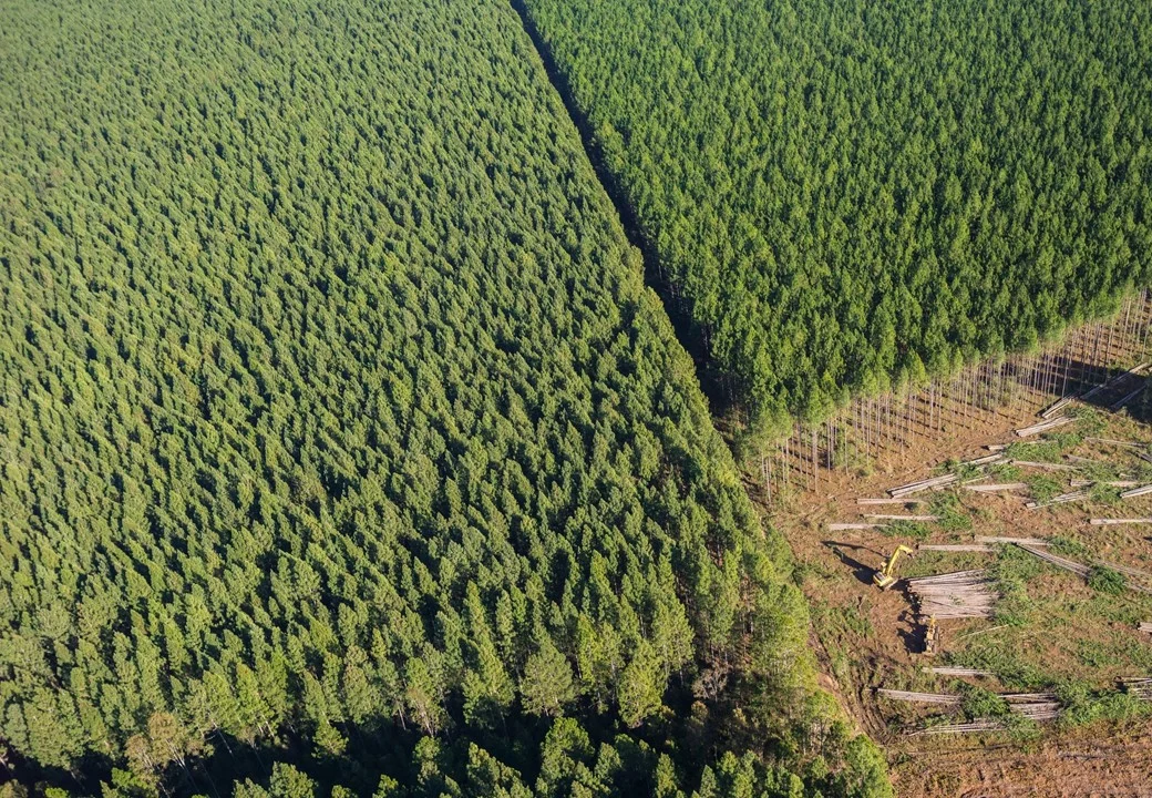 Stafford announces final close of Timberland Fund (SIT VIII) of USD 612.5m