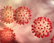 Stafford Capital Partners: Approach to travel in light of the Coronavirus (COVID-19)