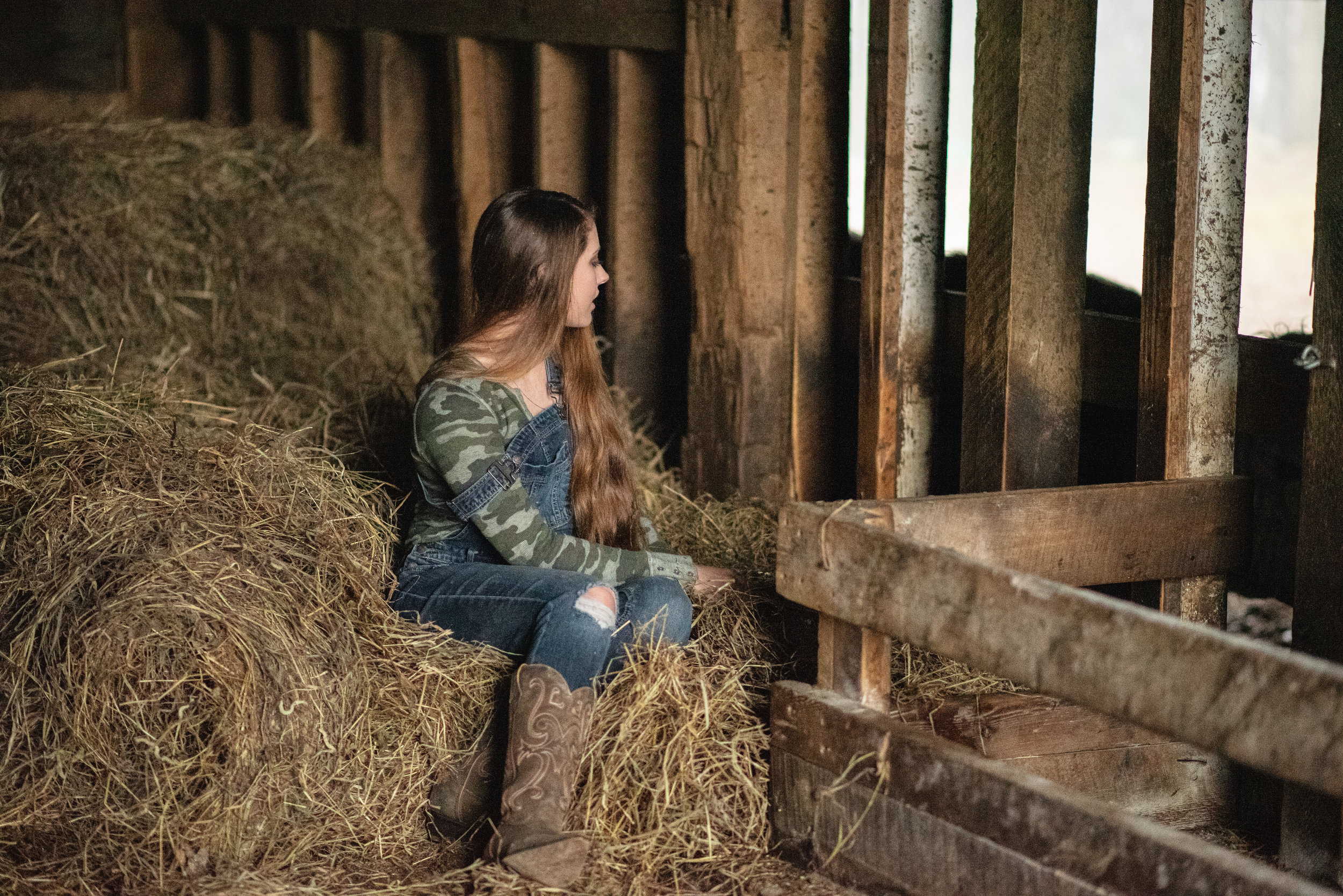 Long Hair Barn Portraits