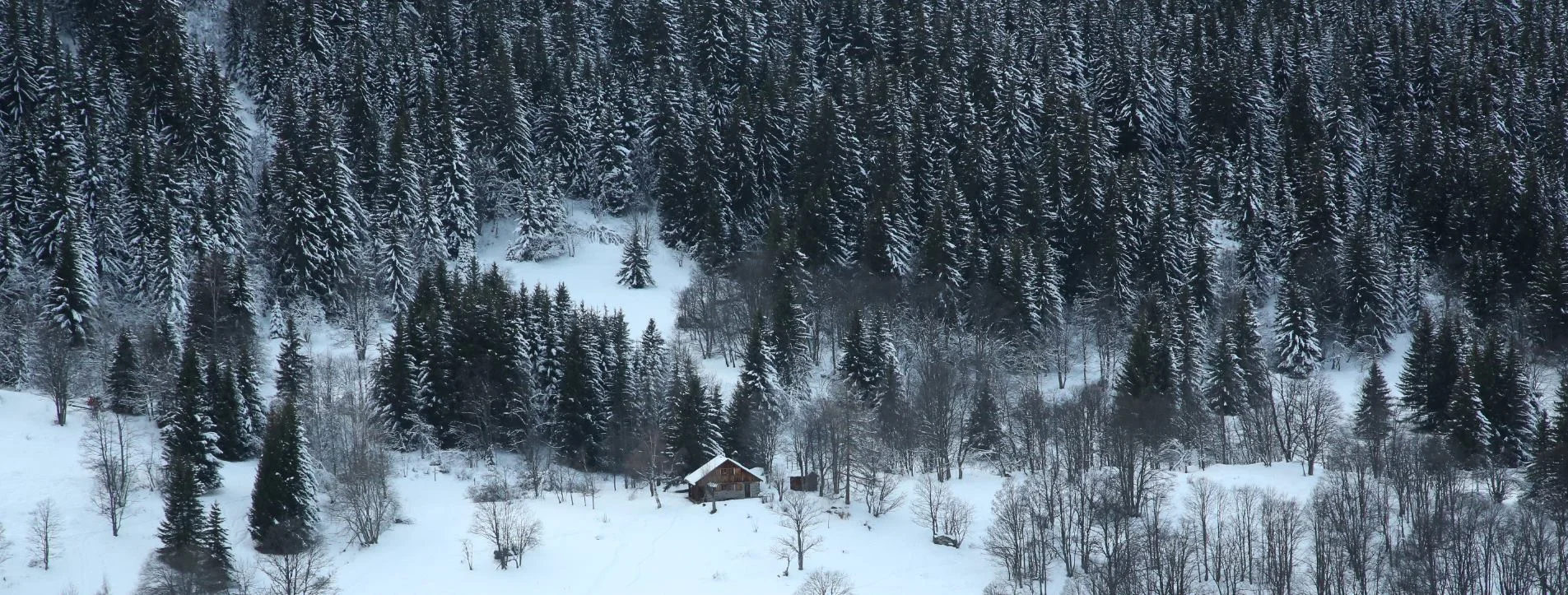 Meribel Cabin.jpg