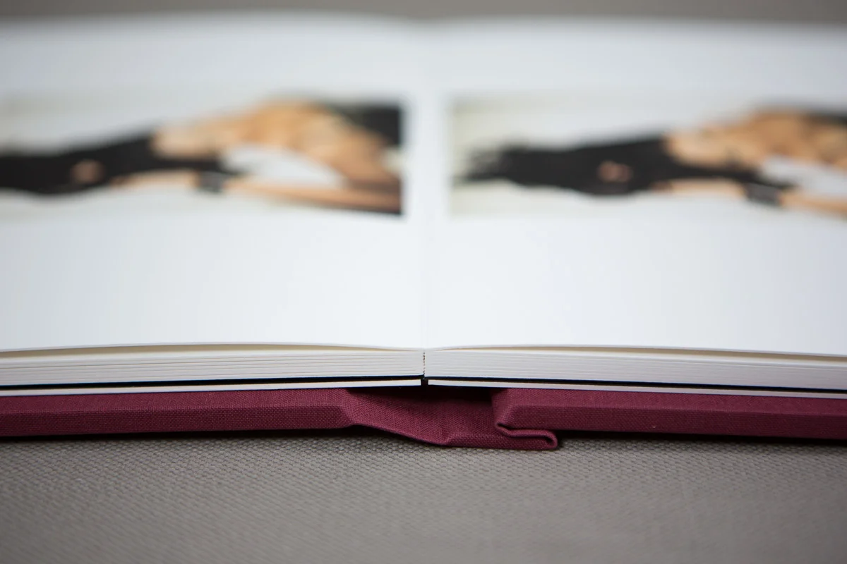 Fine Art Albums 1.jpg