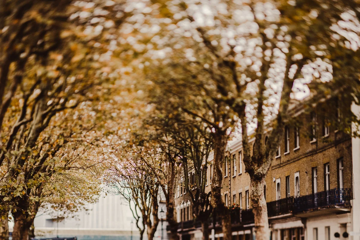 Our Southend Office is situated in the beautiful conservation area, with a cast iron balcony overlooking the canopy of trees.