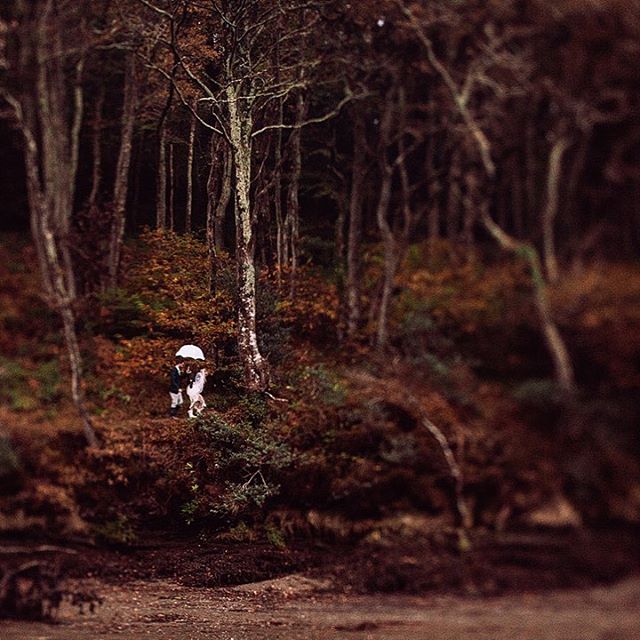 More elopements in moody places, wanted. Please and thanks.