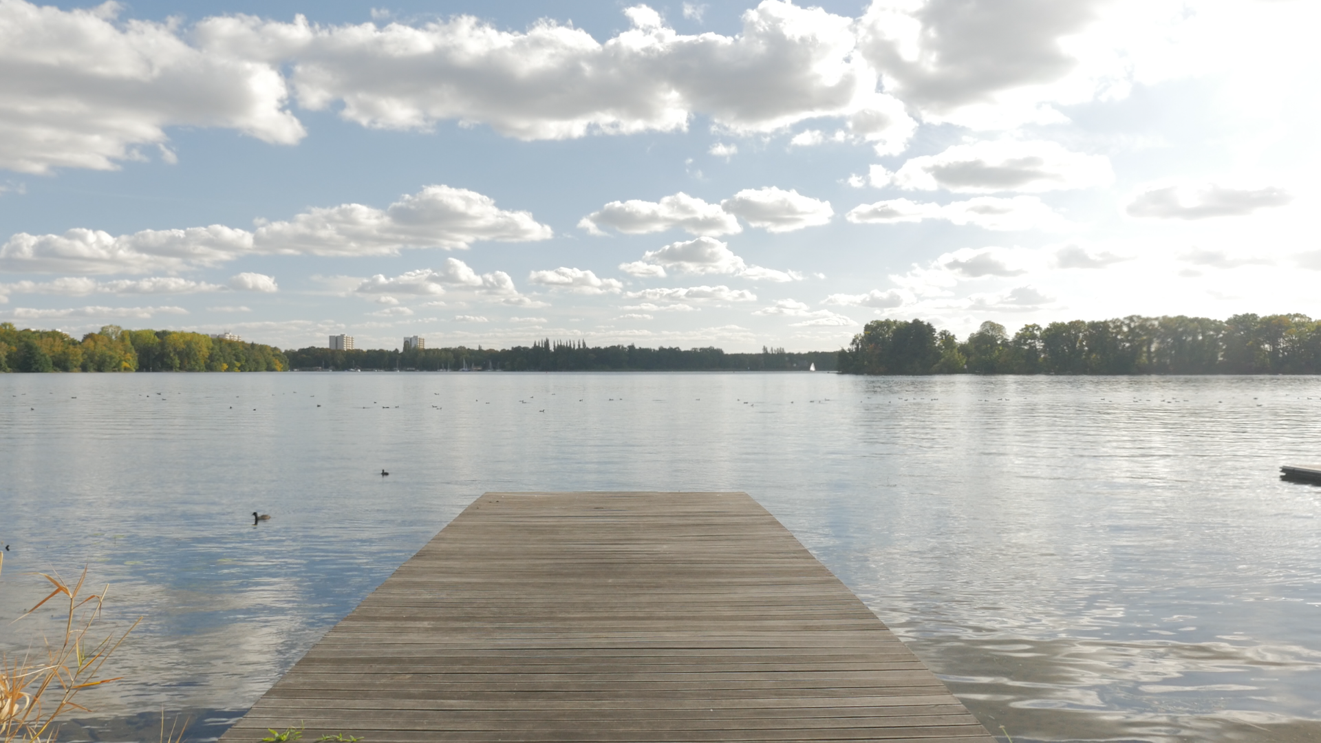Tegel See plank.png