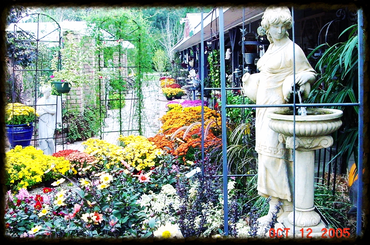 big-bloomers-flower-farm