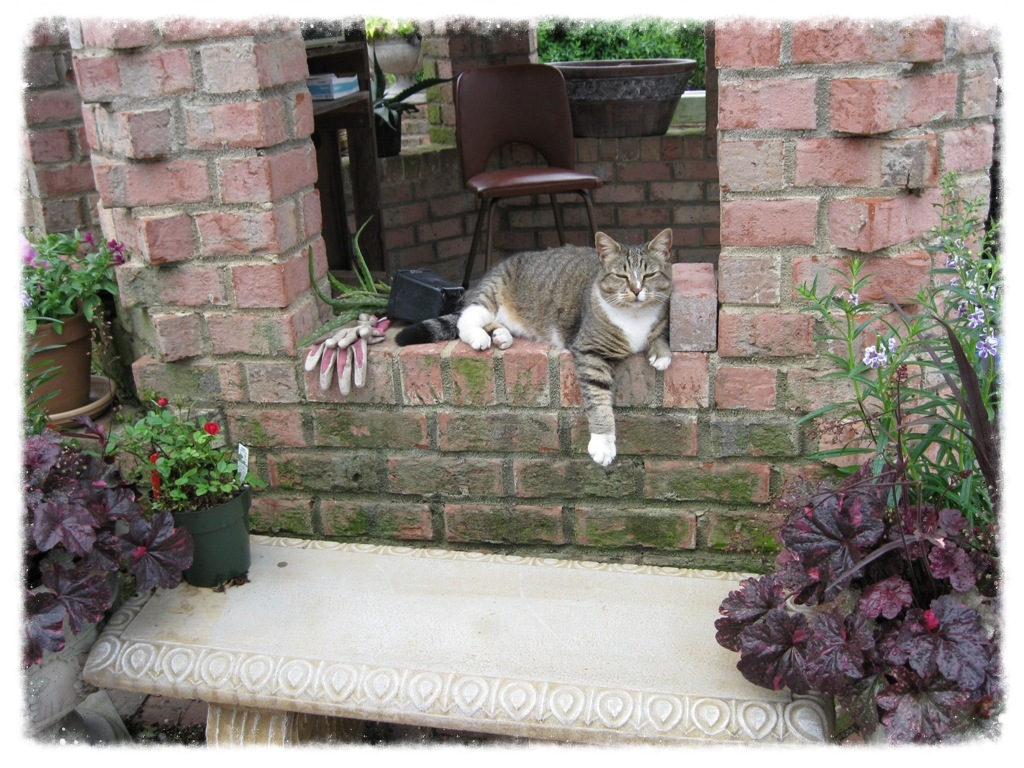 alley45.jpg