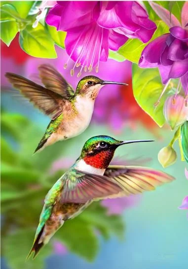 HUMMINGBIRD DAY 2022