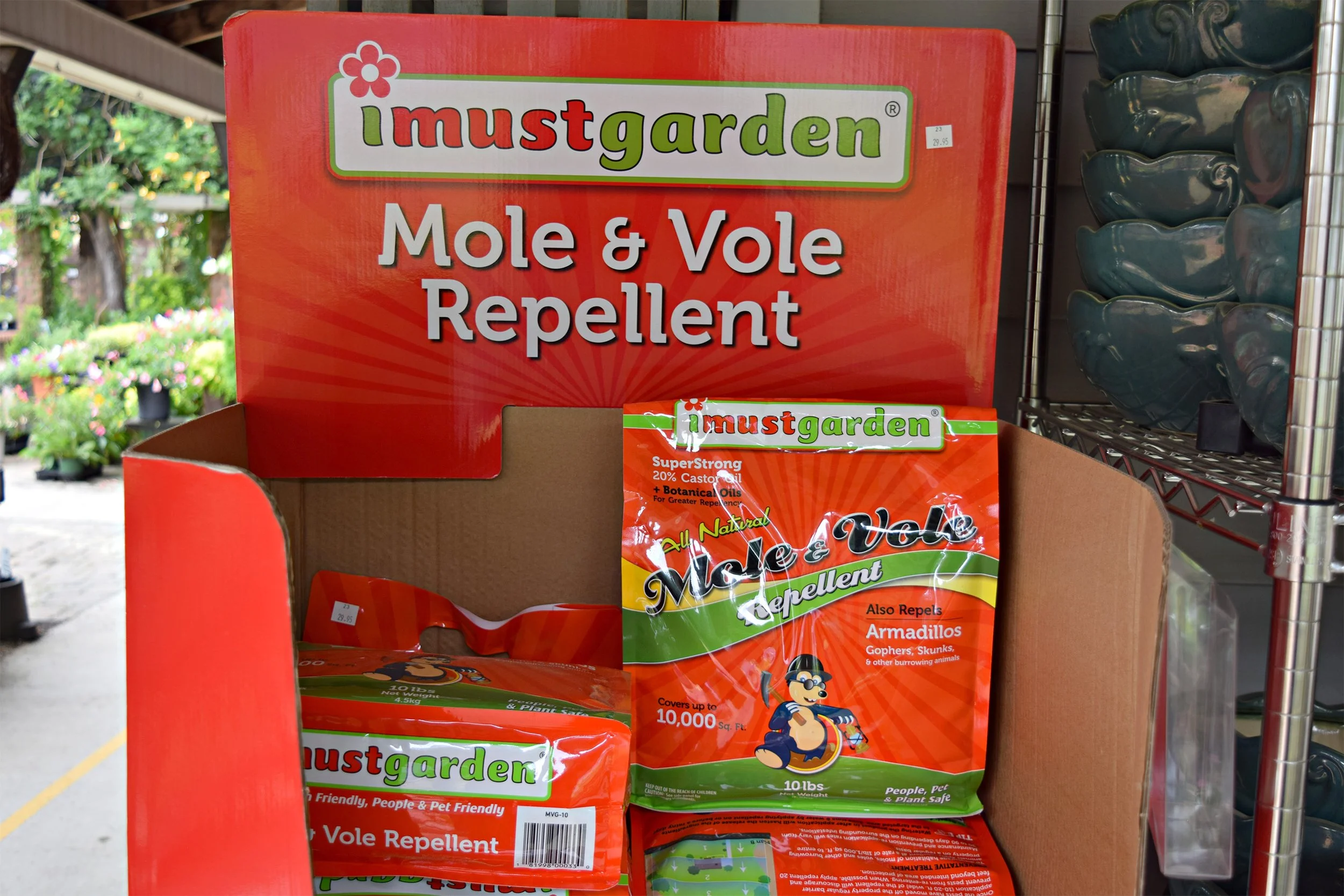 vole_mole.jpg