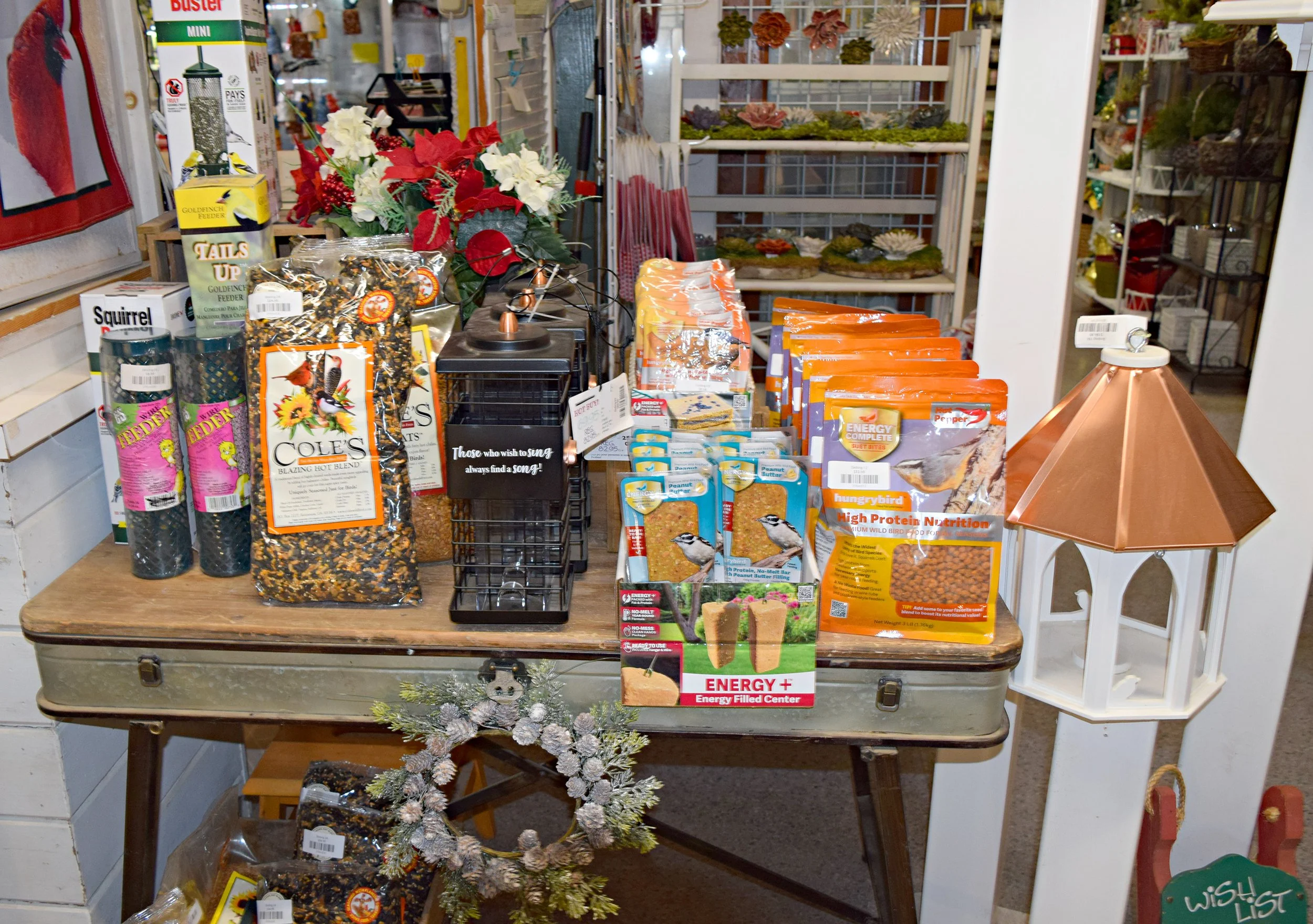 bird food.jpg