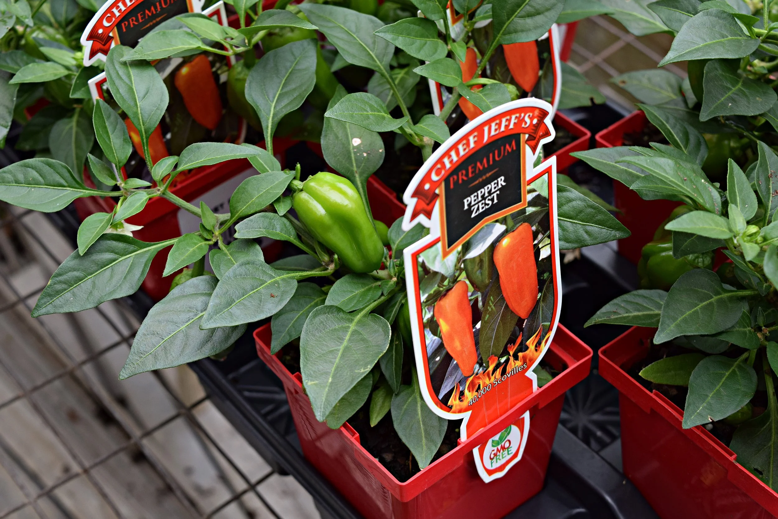 peppers.jpg