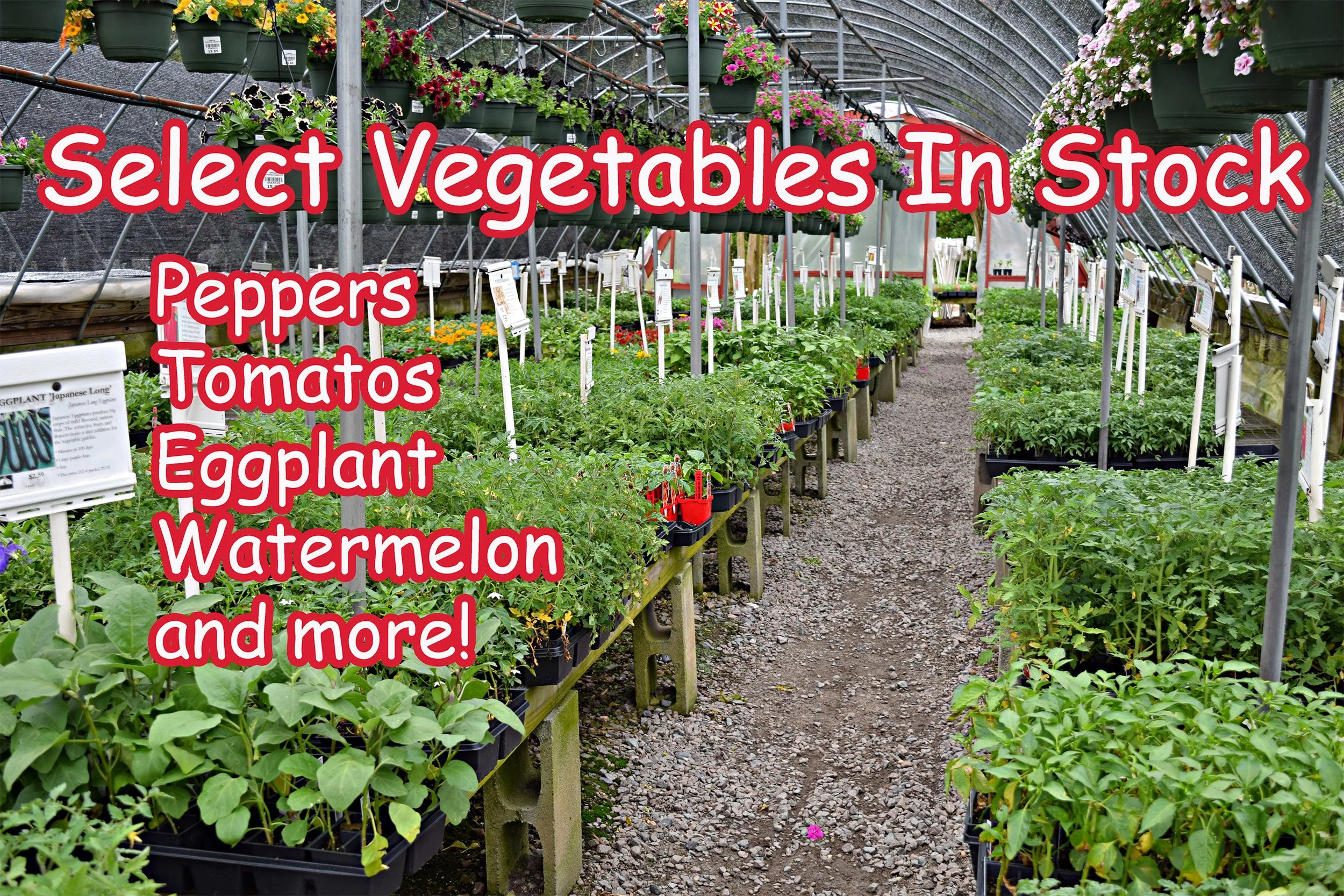 vegetables.jpg
