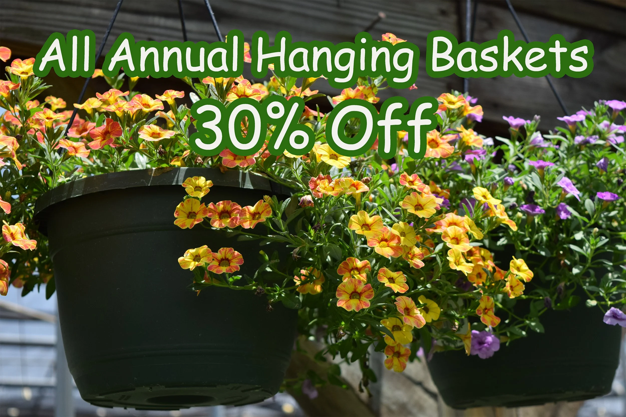 basket1.jpg