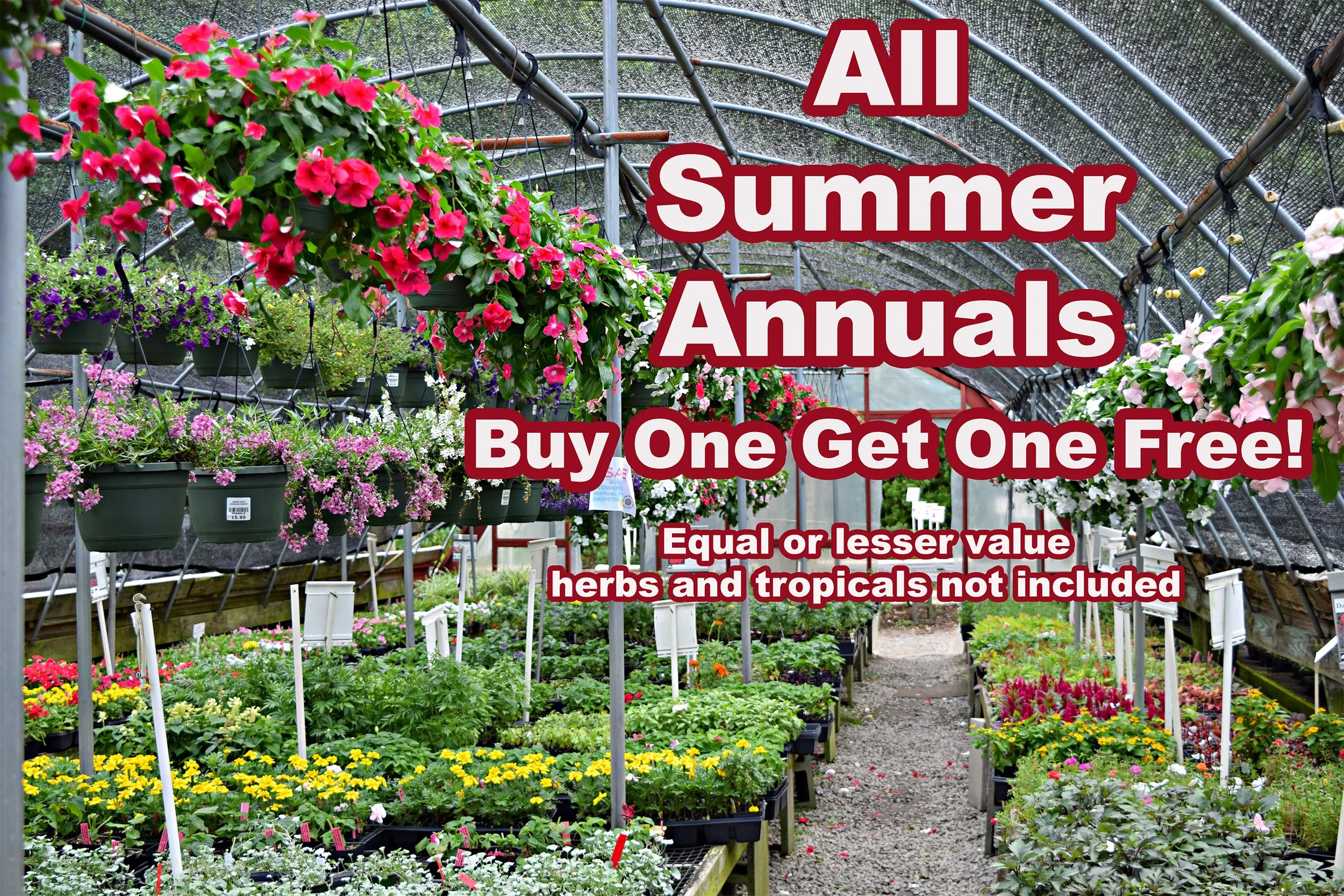 annuals.jpg