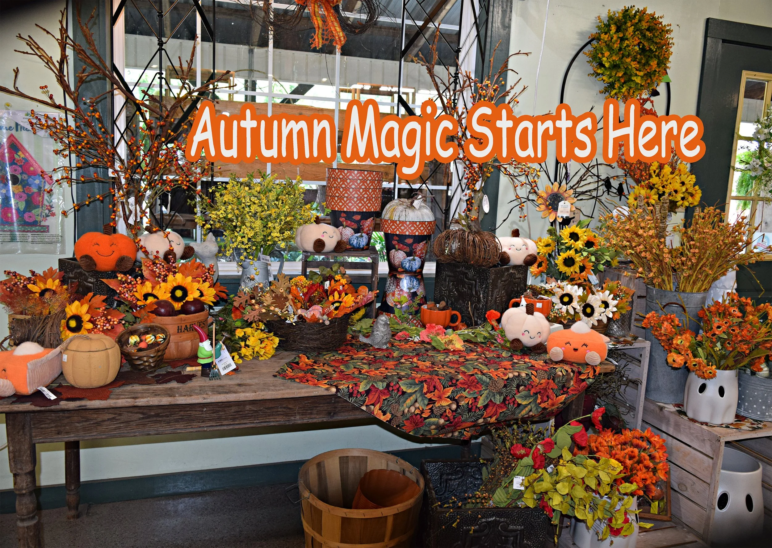 autumn magic.jpg
