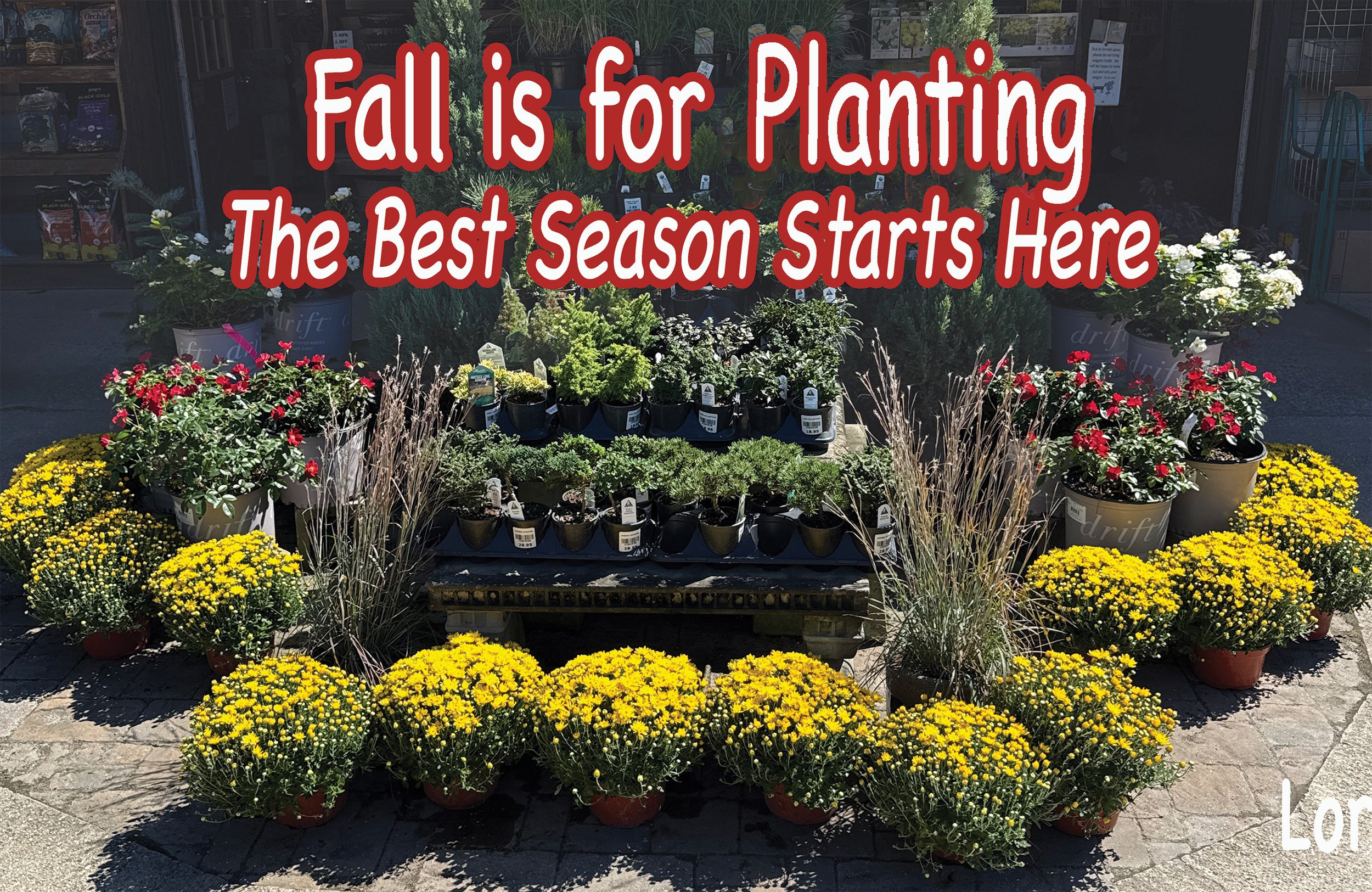 fall is for planting.jpg