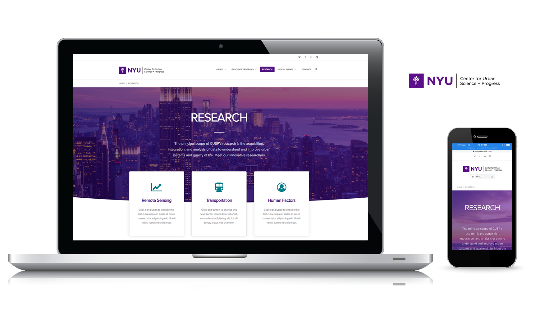 New York University