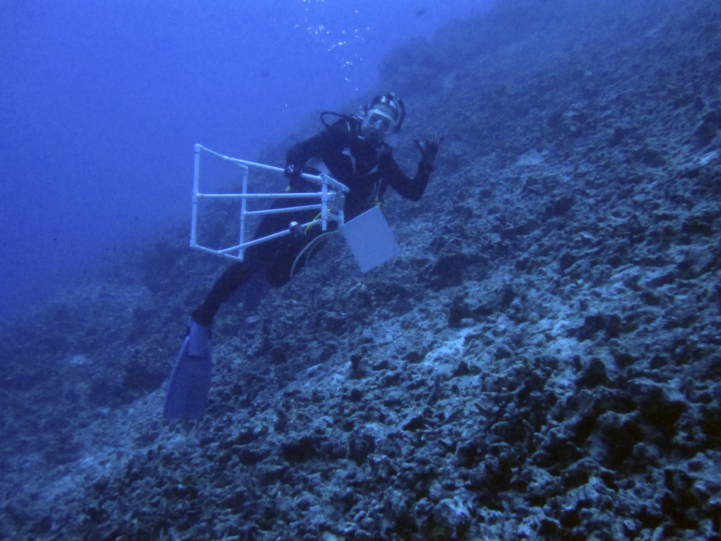 Mesophotic reef research off Kona, Hawaii at 120 ft, 2013