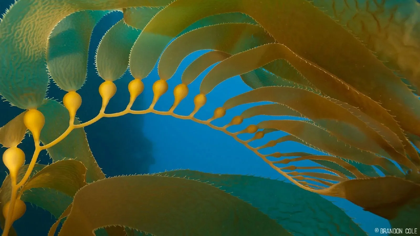 2021-05-26 09.14.45.jpg