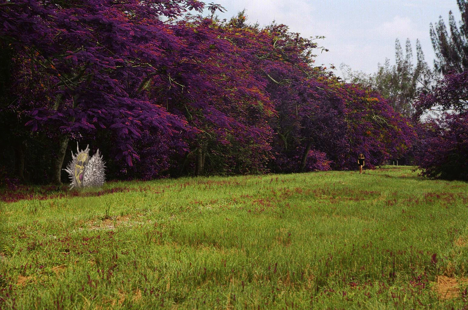 image-2.jpg