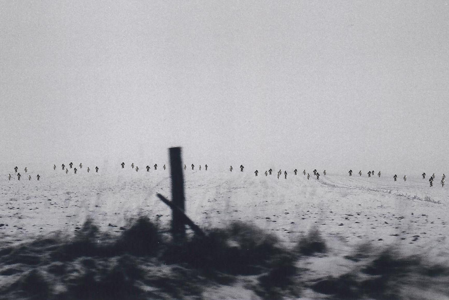 image-7.jpg