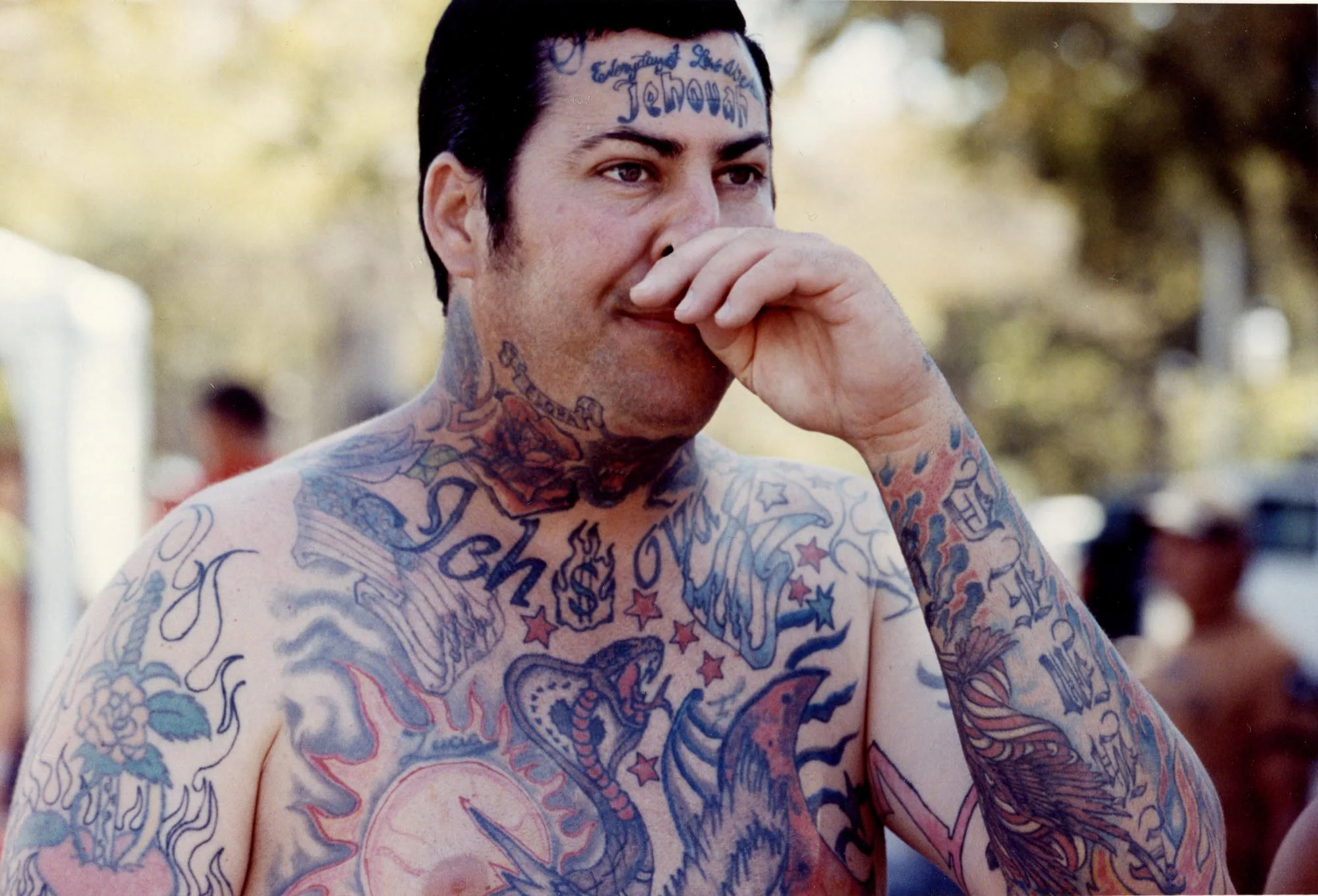 catamaranwestern -891991.jpg