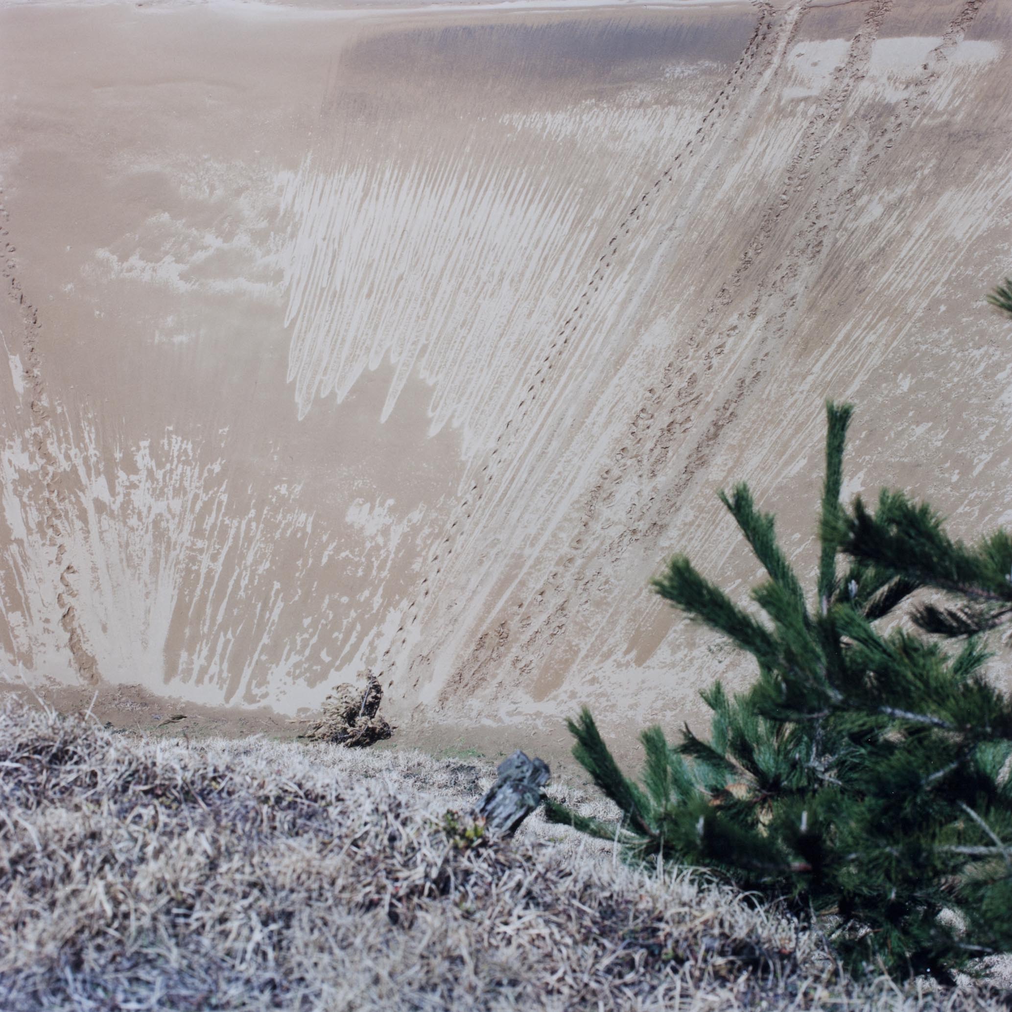 20120215_0002.jpg