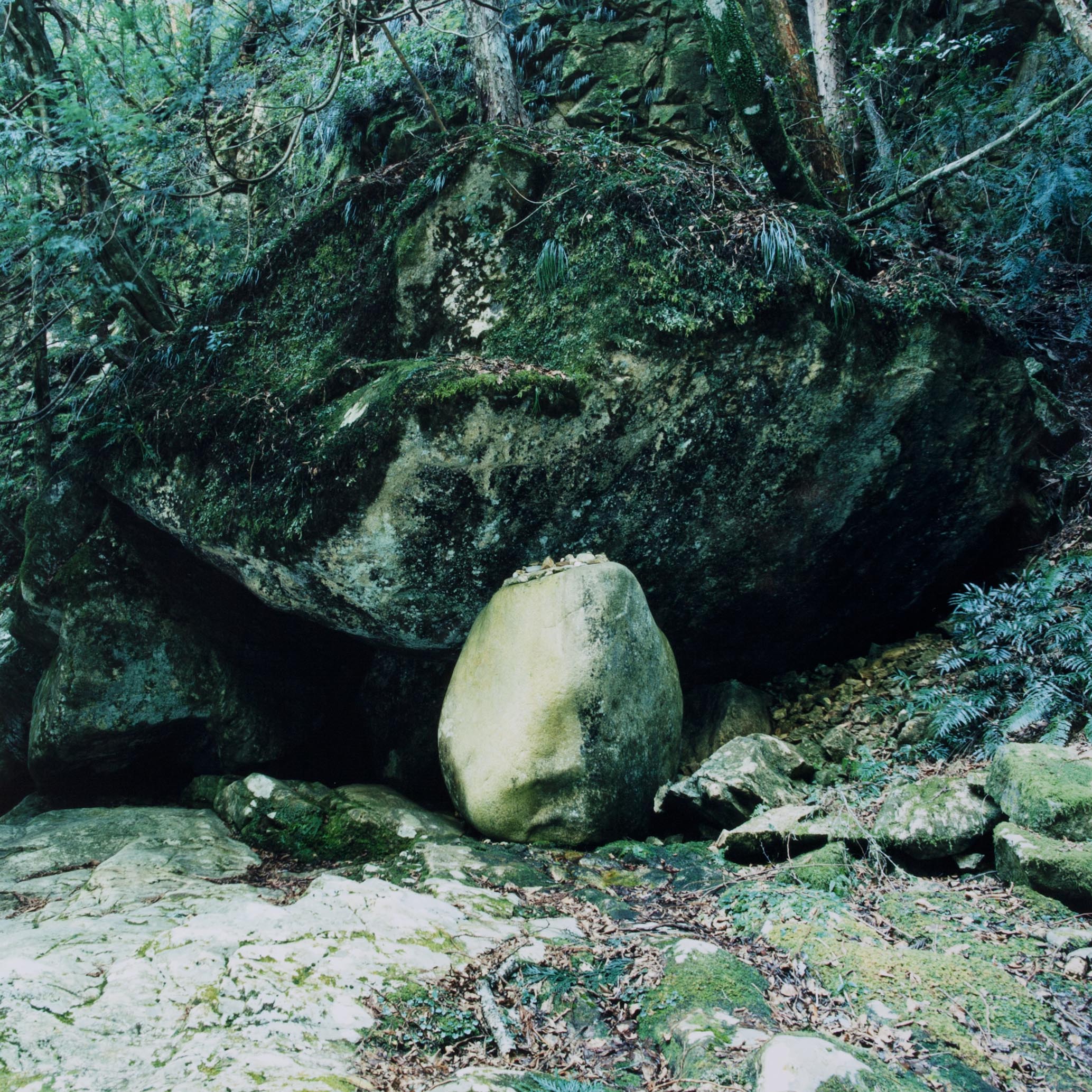 20120215_0007.jpg