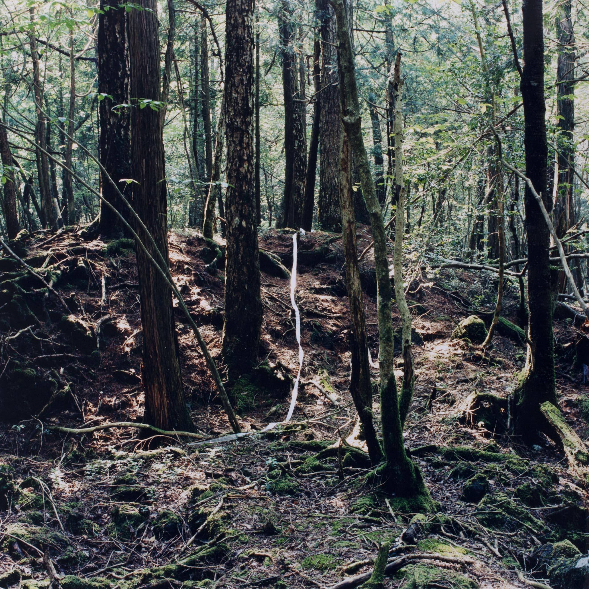 20120215_0020.jpg