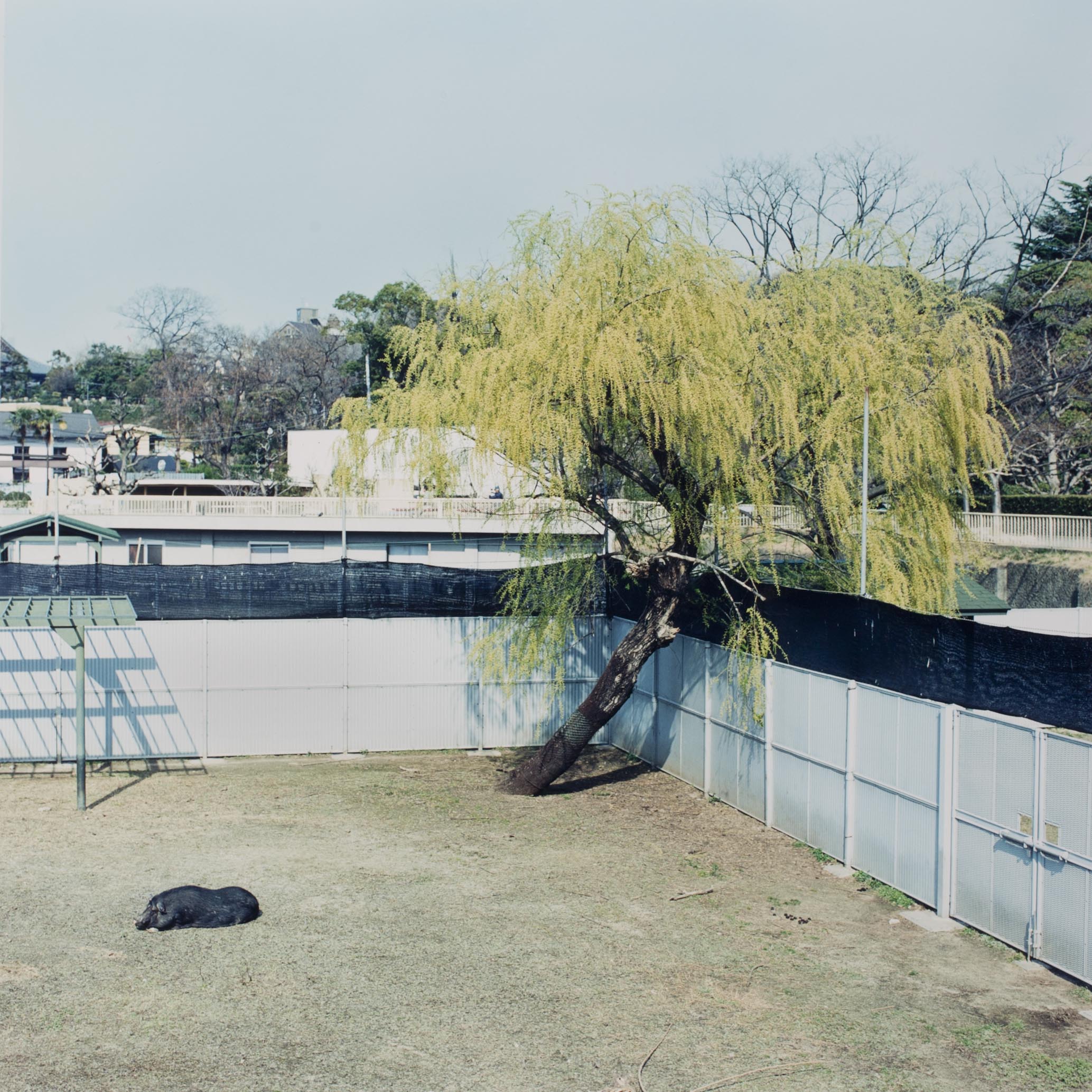 20120215_0023.jpg