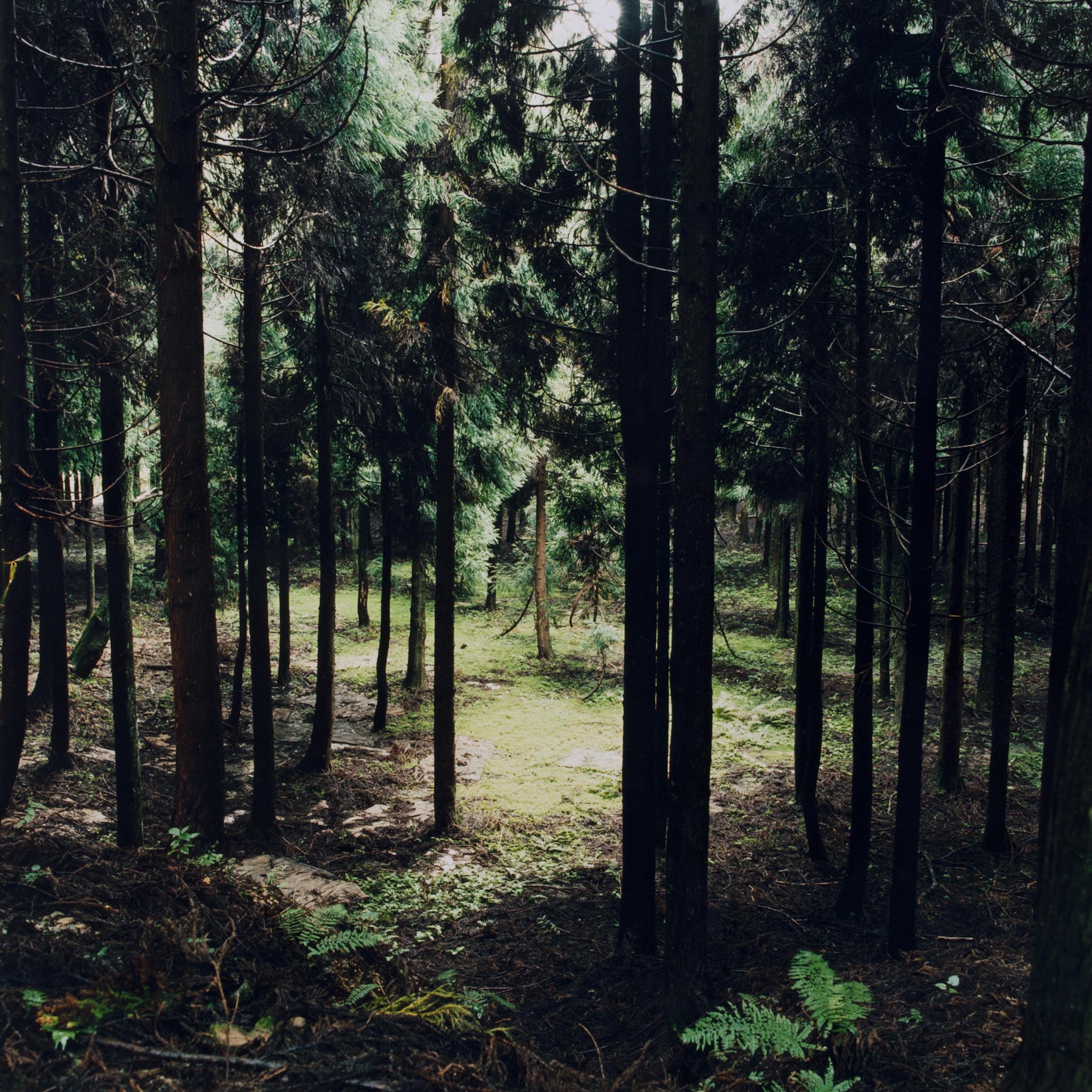 20120215_0025.jpg