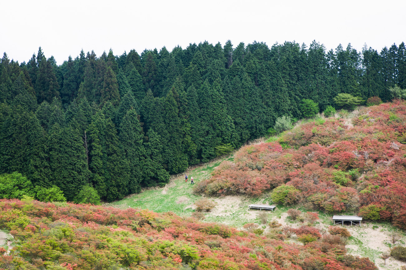 20060512_16852-Edit.JPG