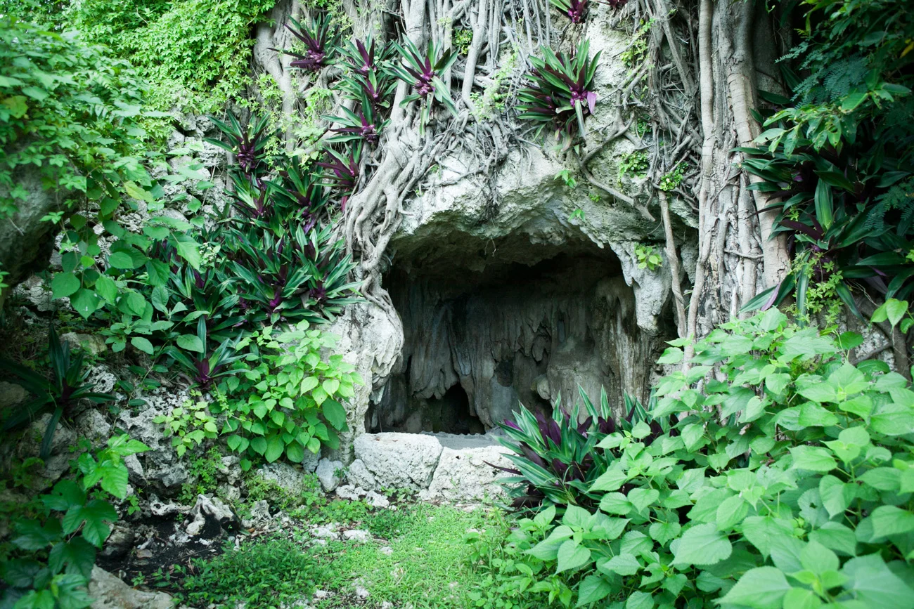 20111218_1534.JPG