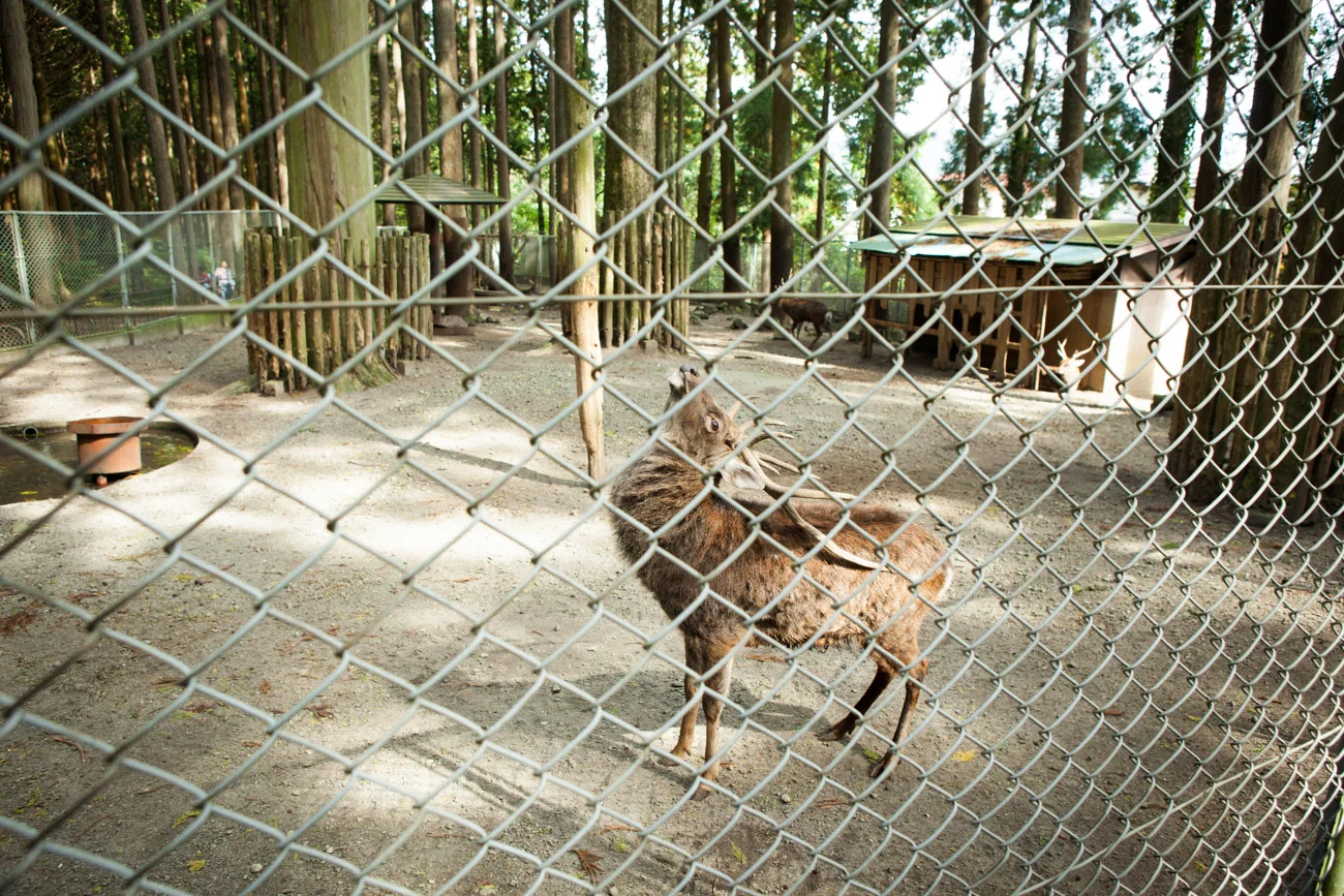 20121013_0116.JPG