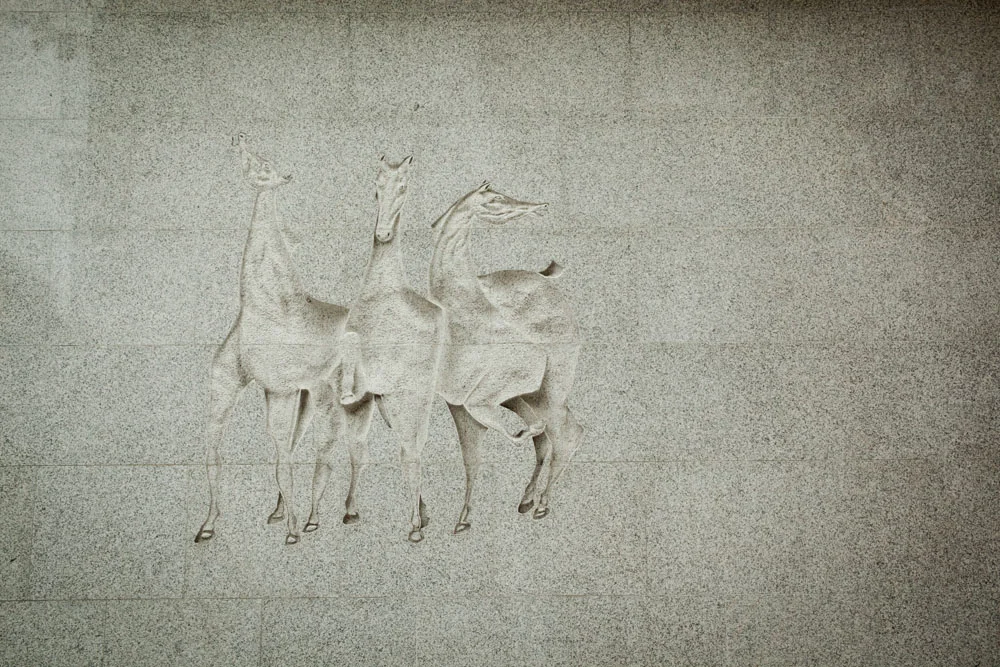 20120508_0567.JPG