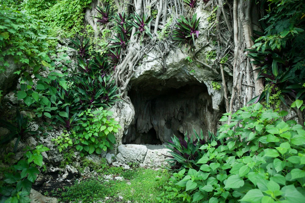 20111218_1534.JPG