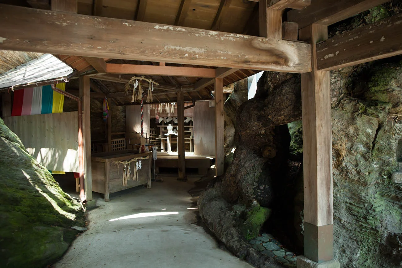 塩竈神社とてもいい場所、フェルニッチ的に聖地といえるだろう。
