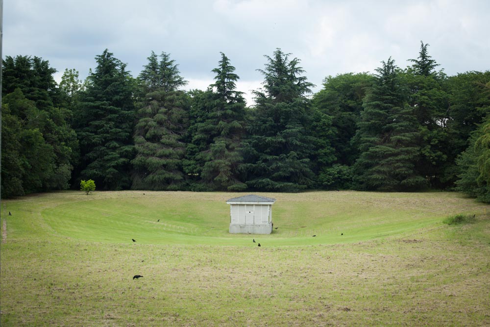 20130616_0129.JPG