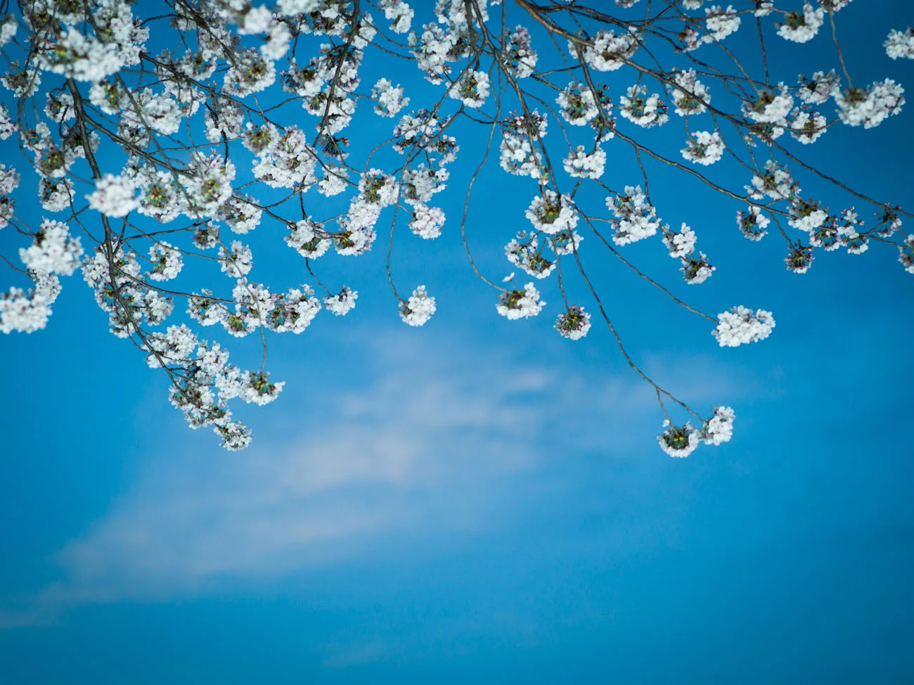 20150402_0151.JPG