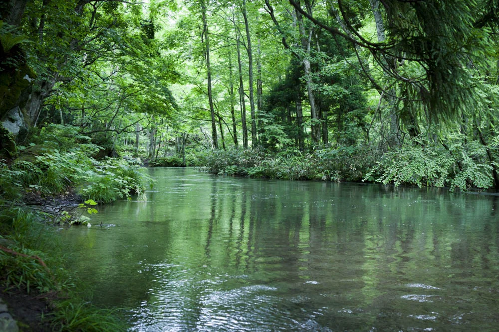 20110716_0162.JPG