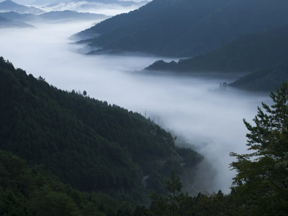 野迫川