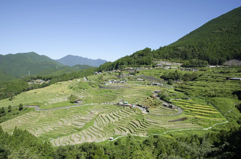 丸山千枚田