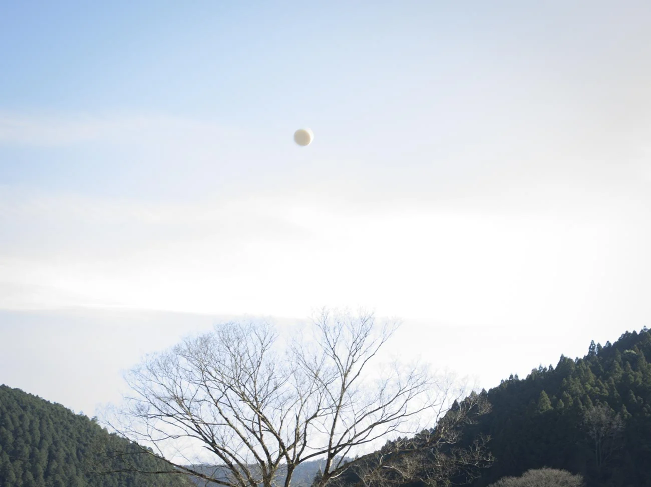 お月様だと思いきや空飛ぶお餅