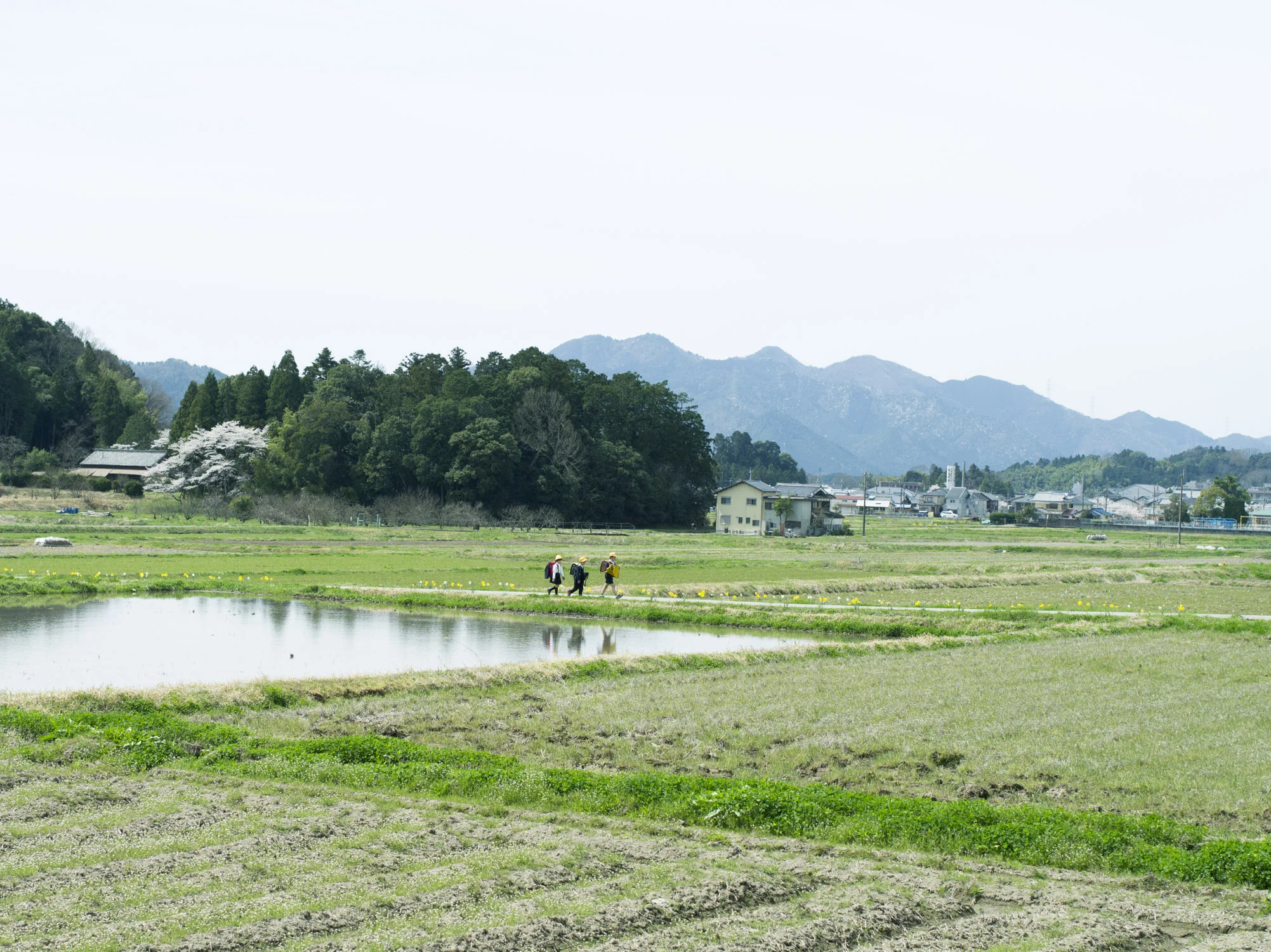 20160406_0038.jpg