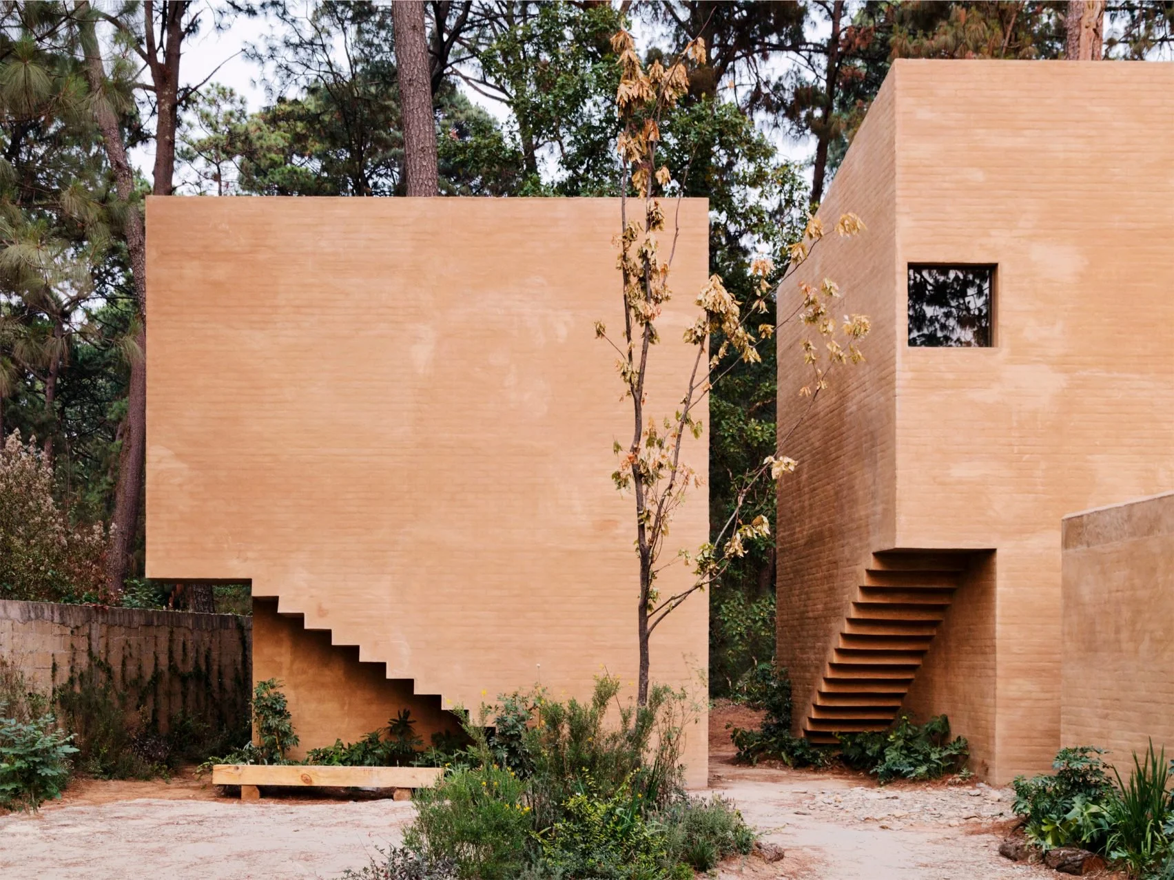 entre-pinos-house-by-taller-hector-barroso_dezeen_2364_col_2-1704x1278.jpg