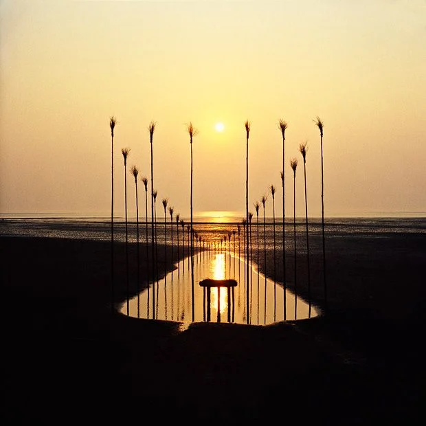 cc5574723b3b493da9832c3c8fabc671--deep-ecology-environmental-art.jpg