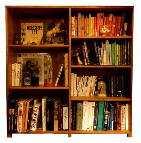 Bookcase.jpg