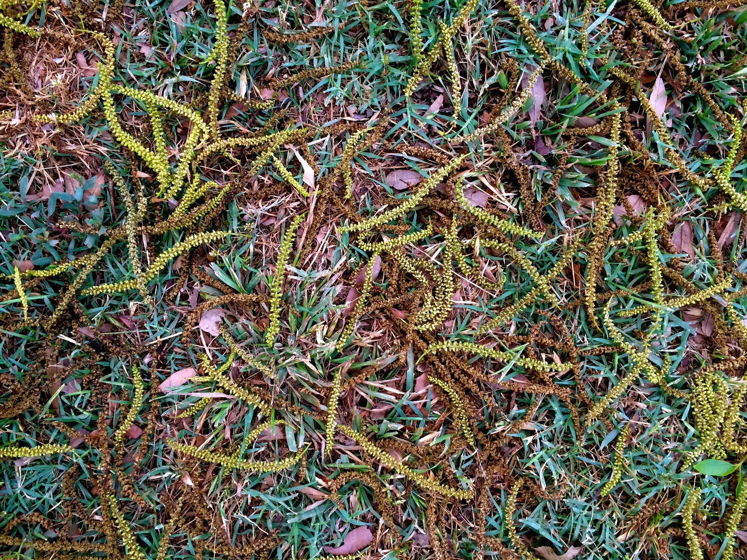 IMG_1929 - Version 2.jpg